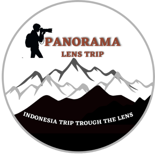 Panorama Logo